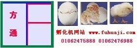 孵化機(jī)首頁(yè)